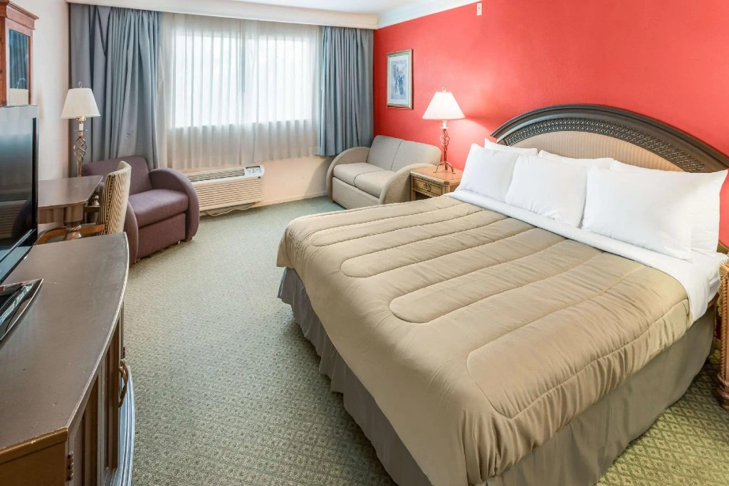 Standard Double room (full double bed)