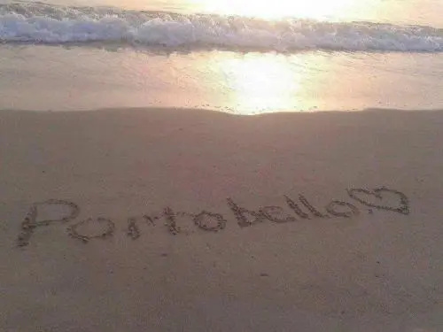 Portobello Naxos