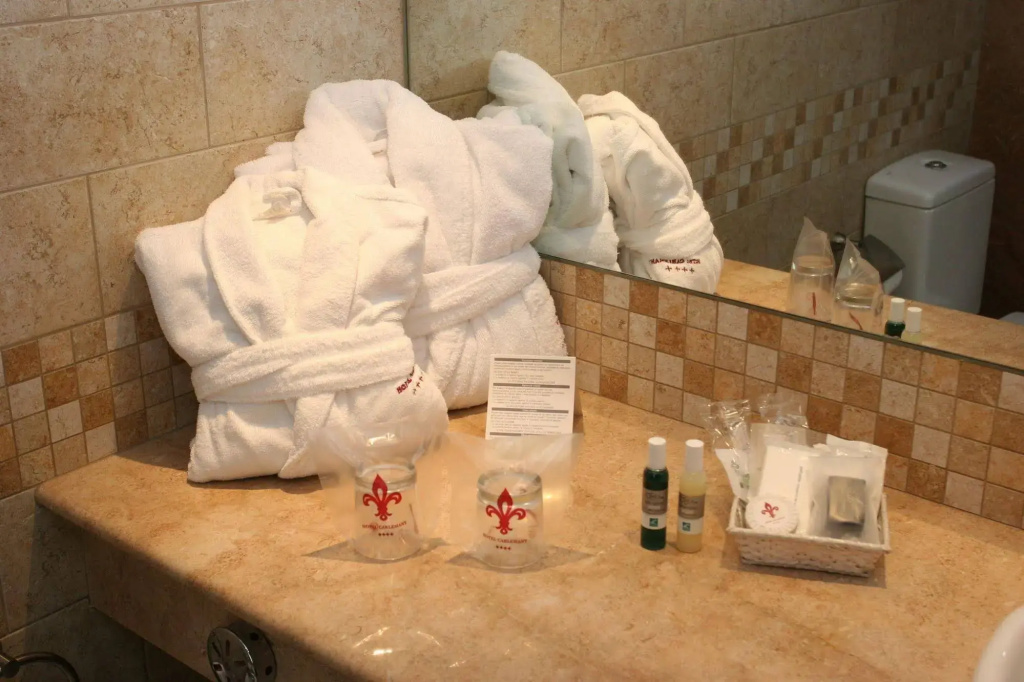 Hotel SPA Termes Carlemany - Général