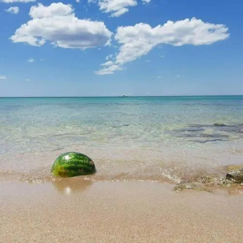 Beach & Waterfront