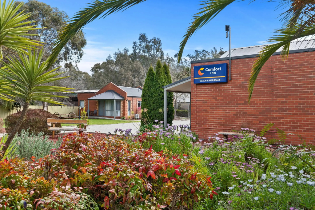 Comfort Inn Coach & Bushmans