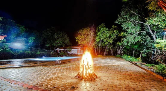 Om Beach Resort-Jungle Lodges - Général