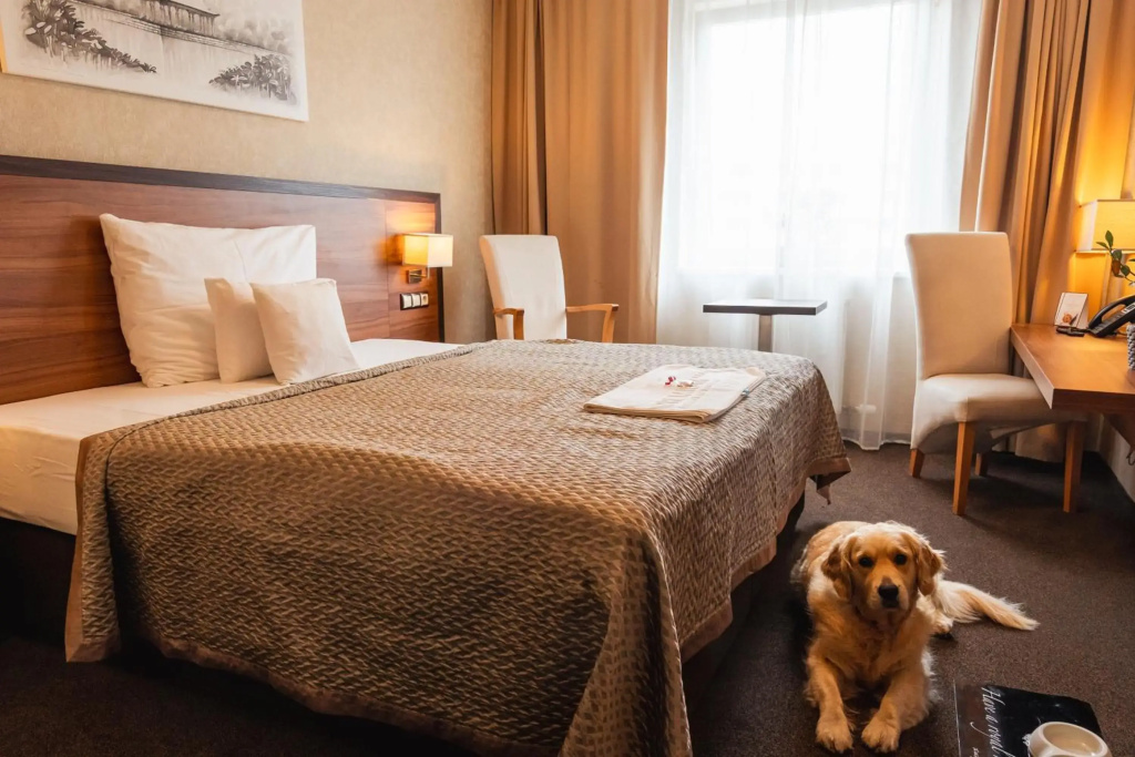Premium Business Hotel Bratislava - фото 50