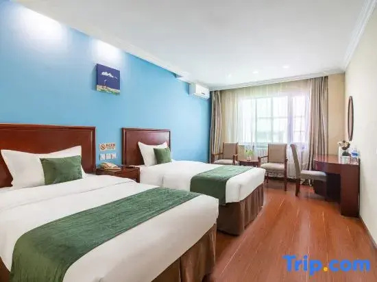 Superior Double room (twin beds)