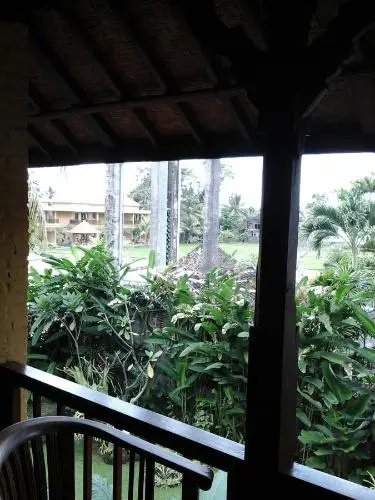 Balcony & Terrace