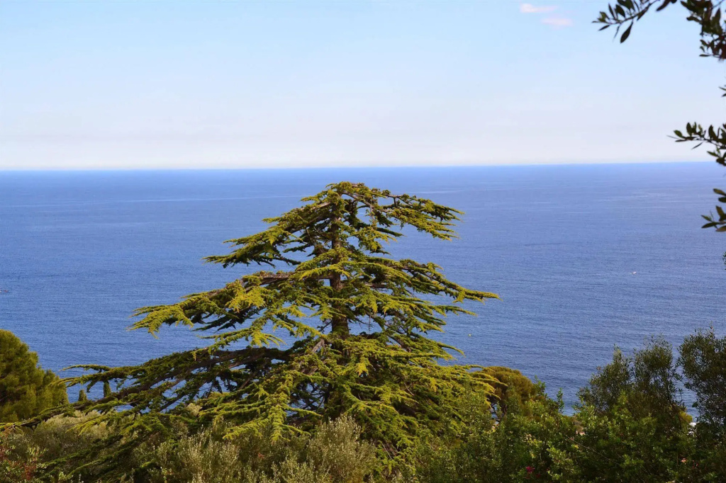 Afficher la photo 8 — Villa Azur