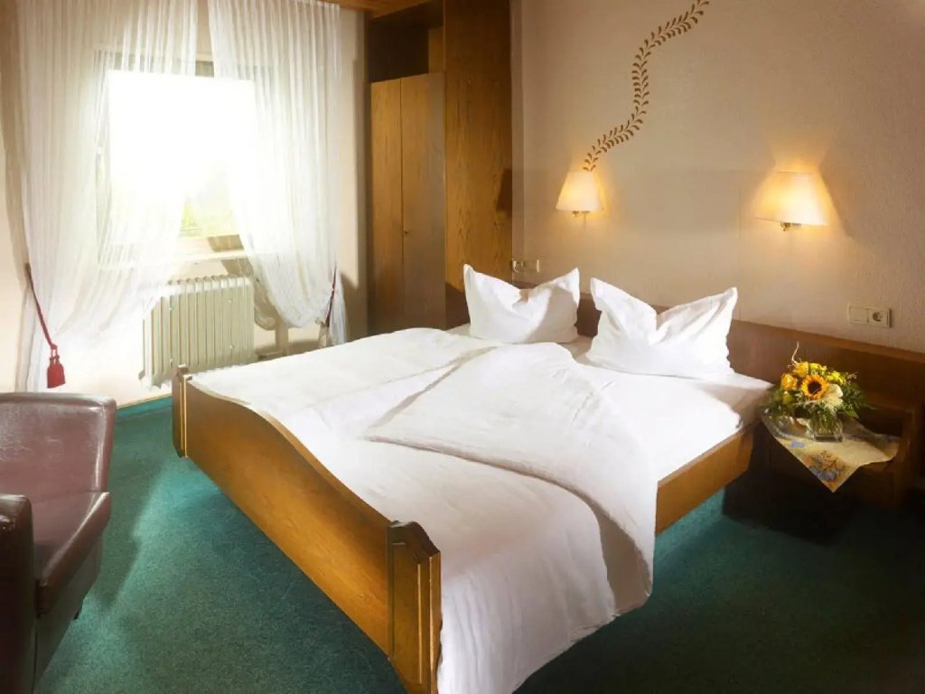 Hotel Losch Pfalzer Hof - Général