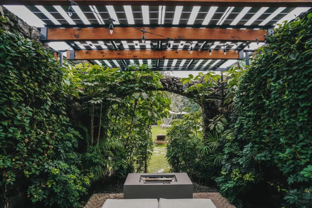Hotel Amomoxtli