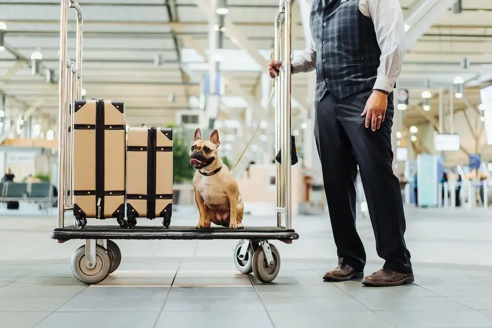 Fairmont Gold at Fairmont Vancouver Airport - фото 18