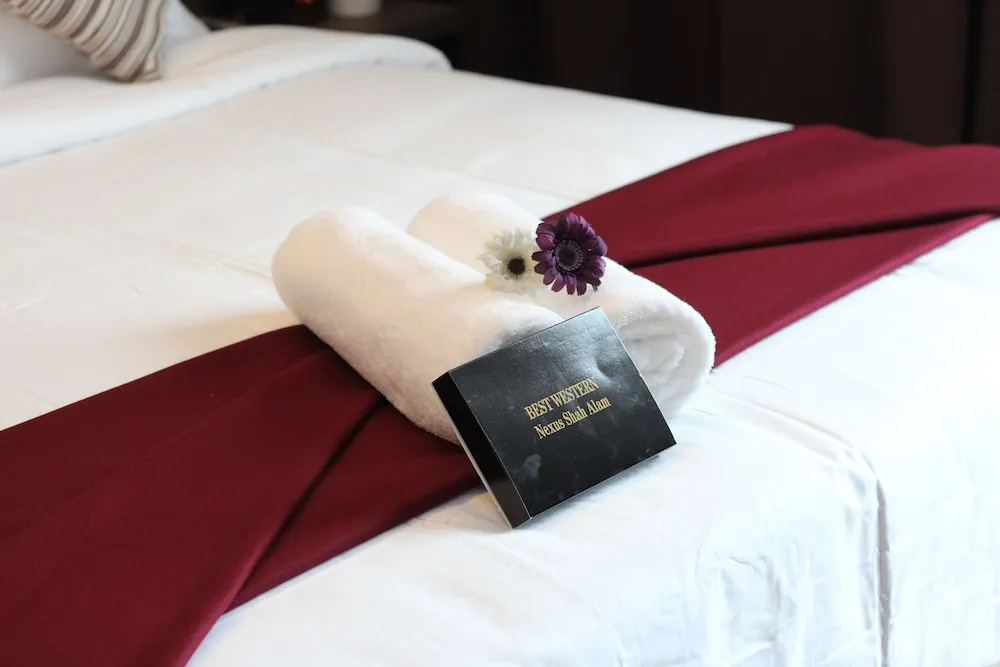 Nexus Business Suite Hotel - Chambres