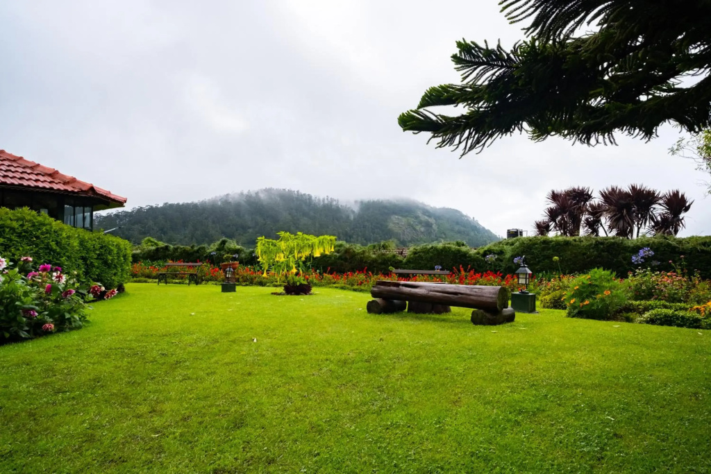 Hotel photo 42