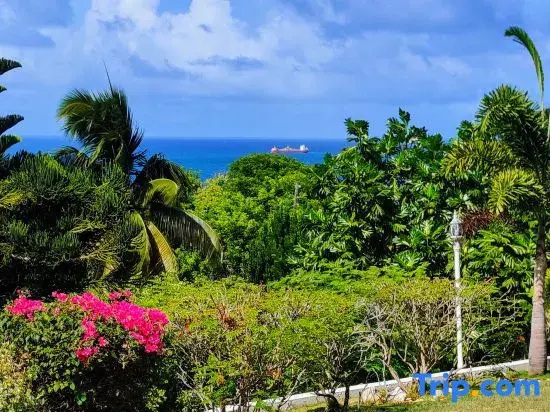 LaBelleVue Oceanview Suites and OnSite Car Rental