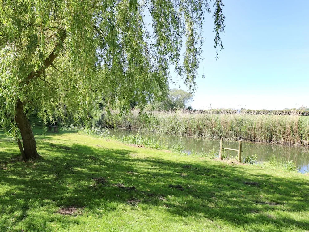 Meadow View