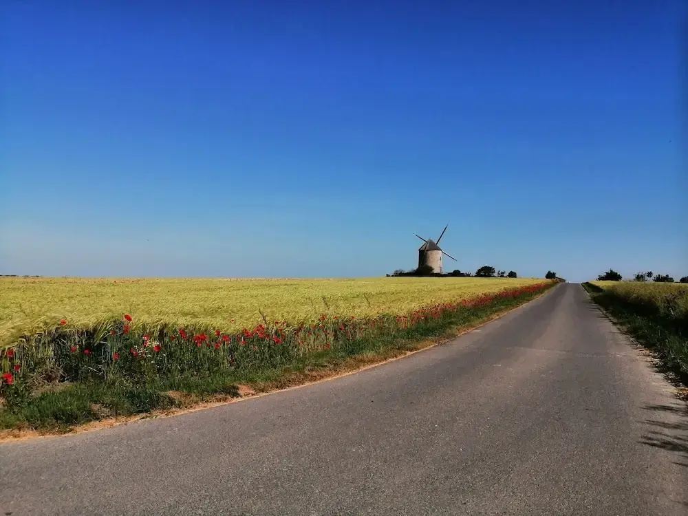 Le petit moulin rouge