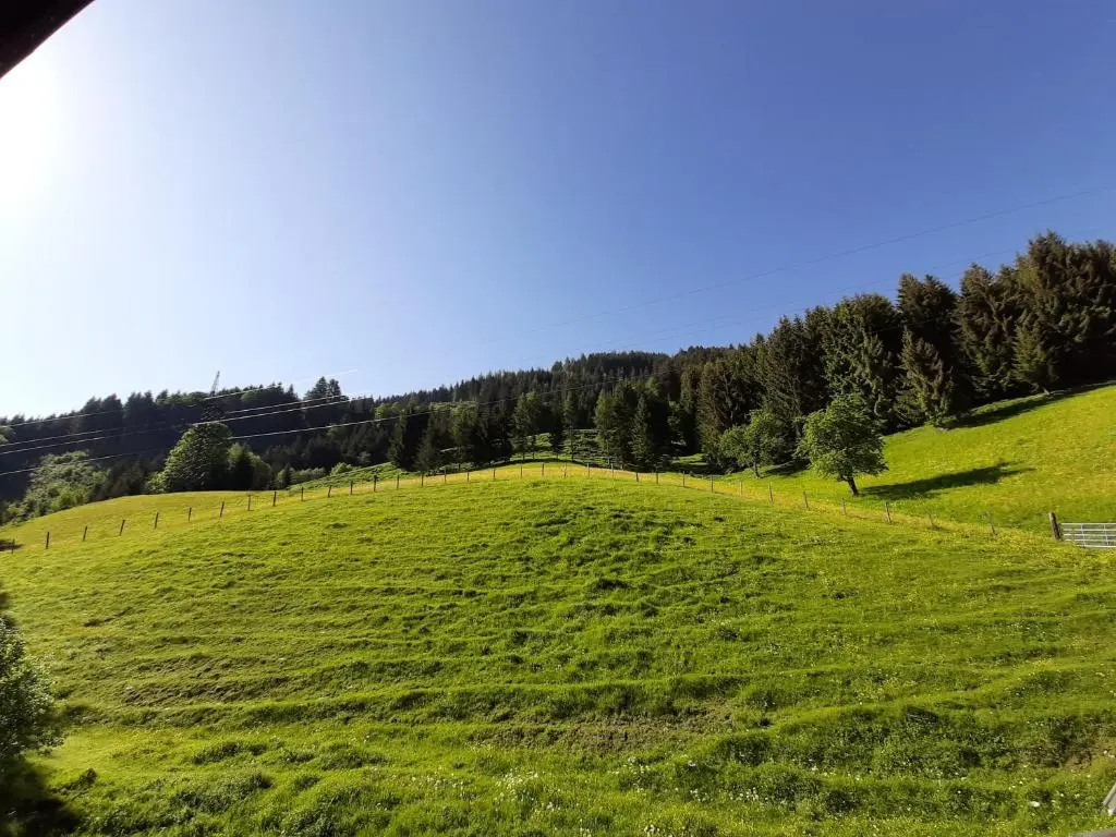 Apartments Teglbauernhof, Hütte, Chalet, Mobilheim, Appartement, Ferienwohnung, Pension, Urlaub