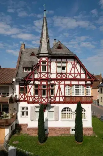 Traube - Général