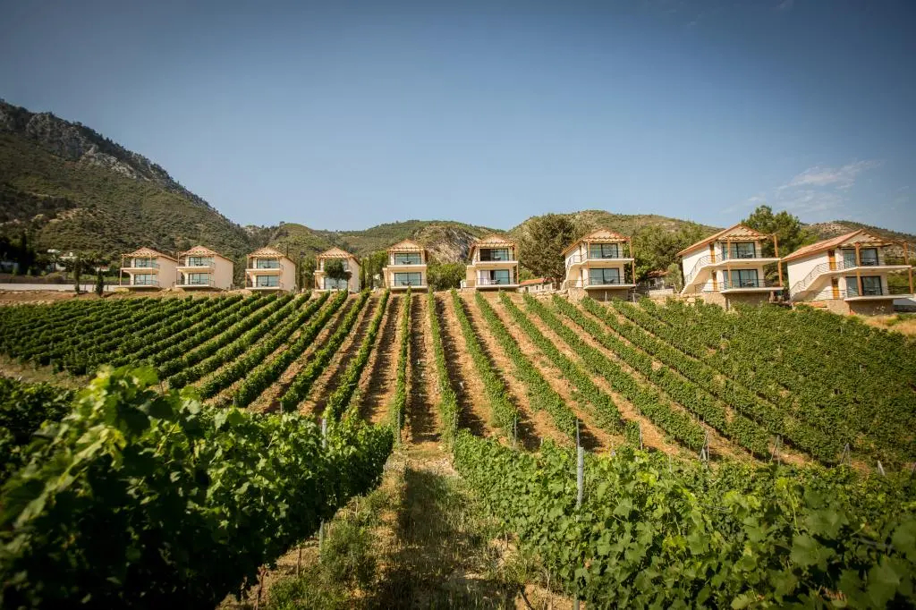 Gillham Vineyard Hotel - Adults Only
