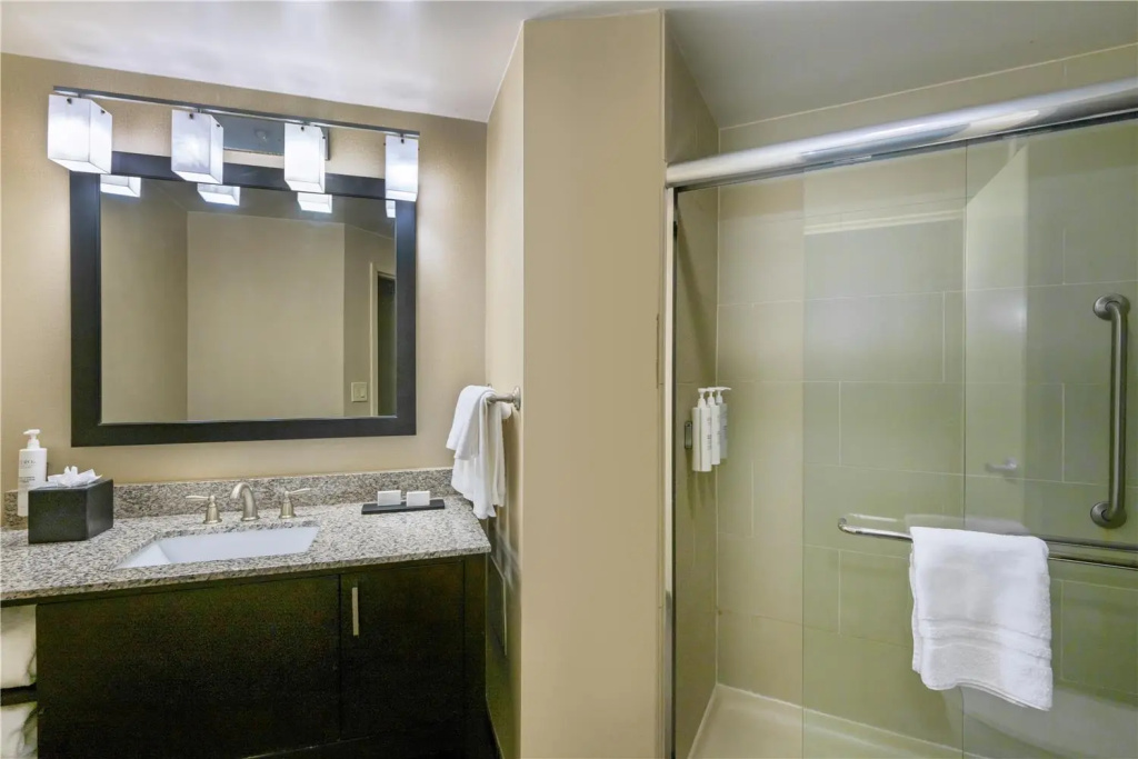 Embassy Suites by Hilton St. Louis Airport - Général