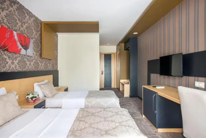 Standard Double room with balcony (full double bed)