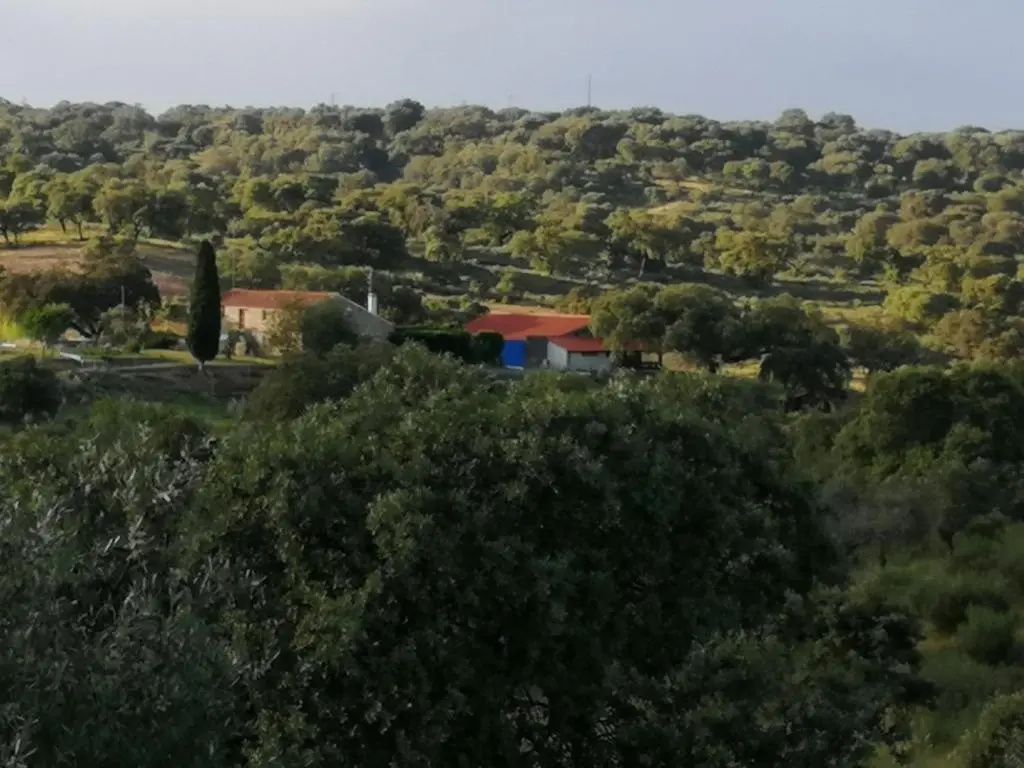 Monte da Fonte Santa de São Luís - Chambres