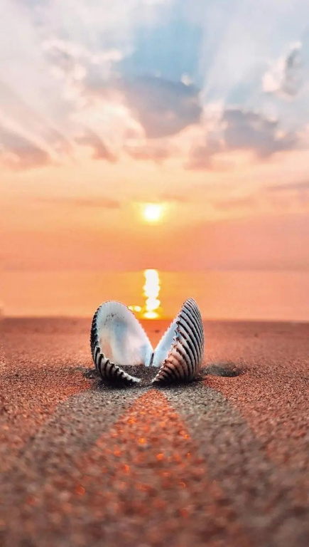 Beach & Waterfront