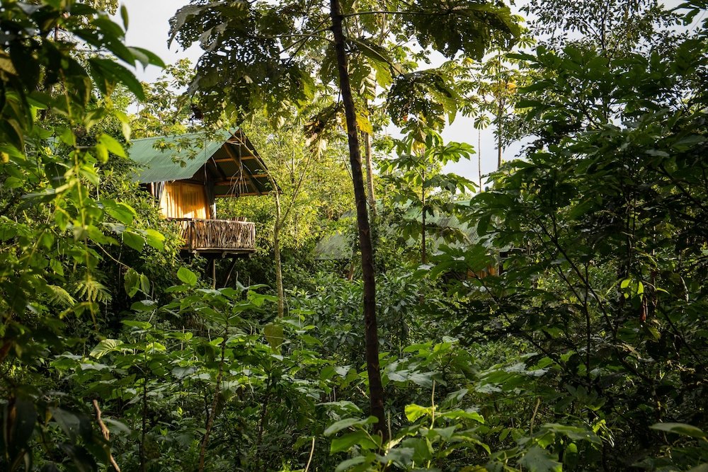 La Tigra Rainforest Lodge, La Fortuna Image 23