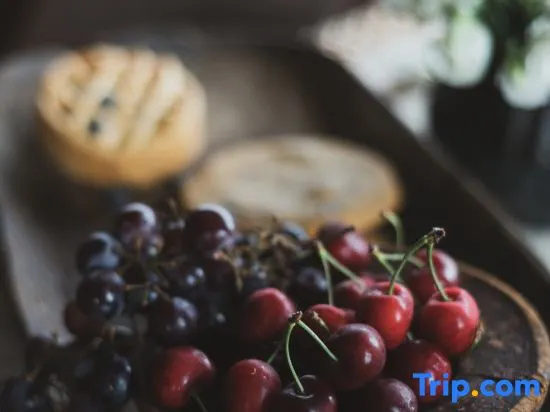 Food & Beverage