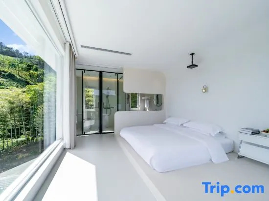 Standard Double room with mountain view (full double bed)