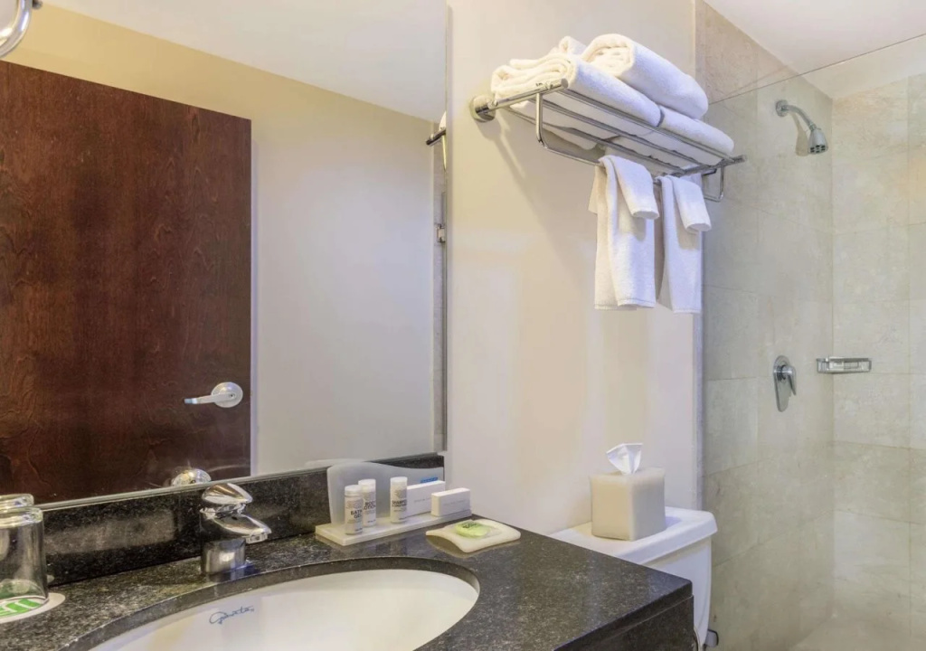 Hilton Garden Inn Mexico City Polanco - Général