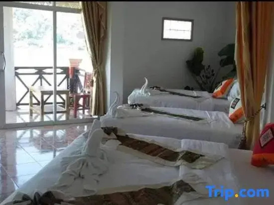 Houayxai Riverside Hotel (Phonevichit Guesthouse) — фото 4