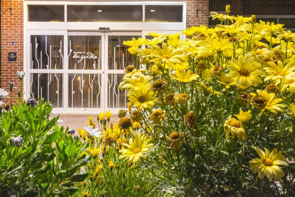 Hilton Garden Inn Bangor - Général