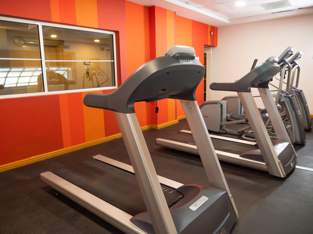 Holiday Inn Express Silao Aeropuerto Bajio by IHG - Général