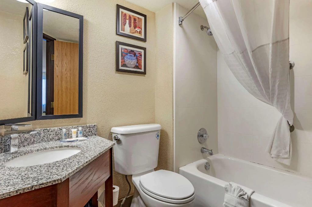 Comfort Inn & Suites Albuquerque Downtown - Chambres