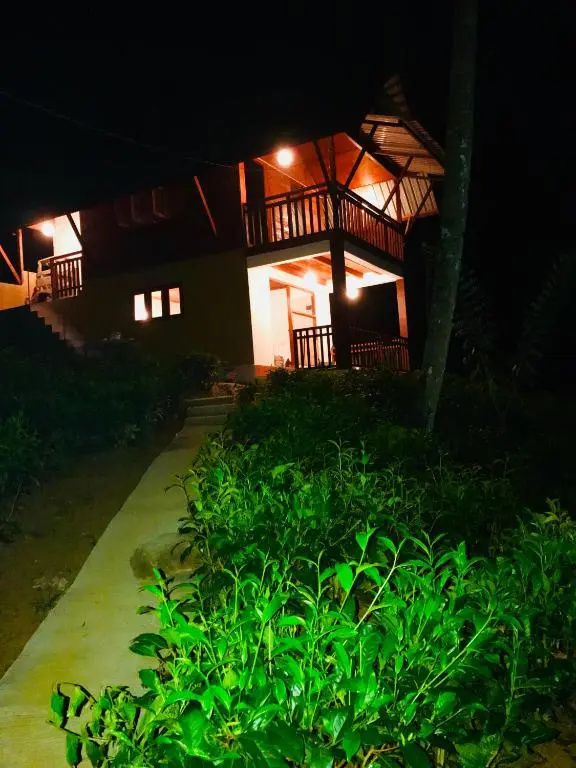 Rainforest Lodge - Chambres