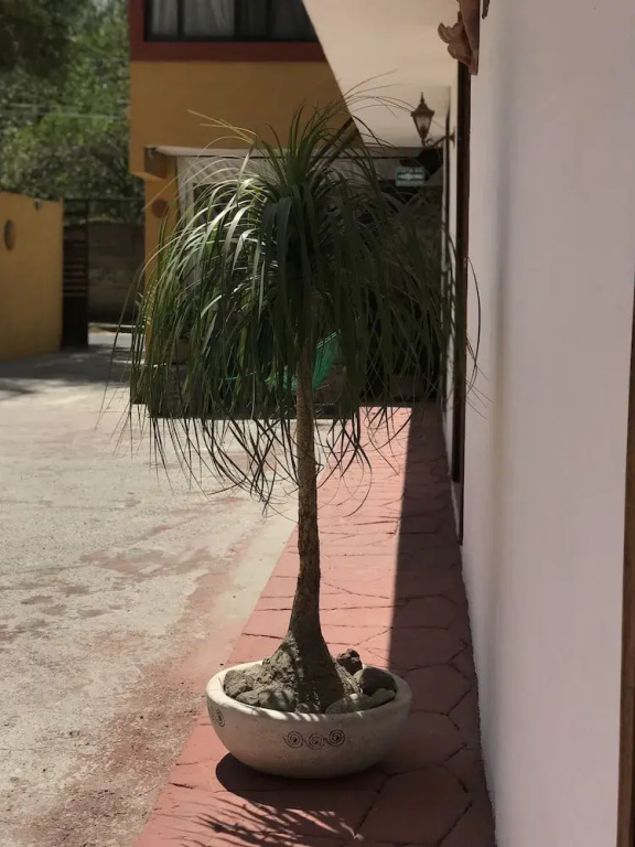 Hotel photo 26