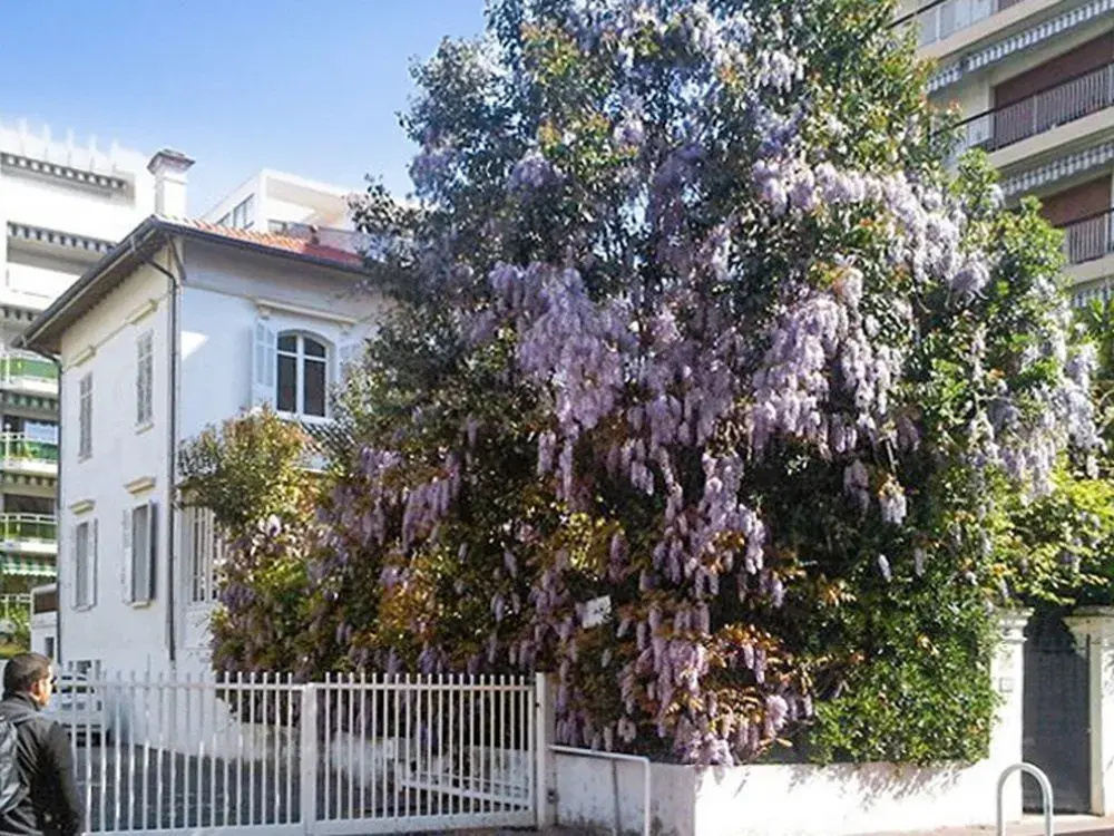 Superb Villa in Cannes on the French Riviera with Balcony, Garden And