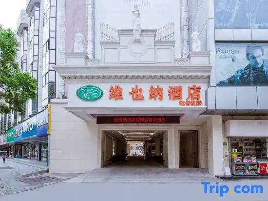 Vienna Hotel (Wuhan High speed Railway Station Honggangcheng Subway Station Store)