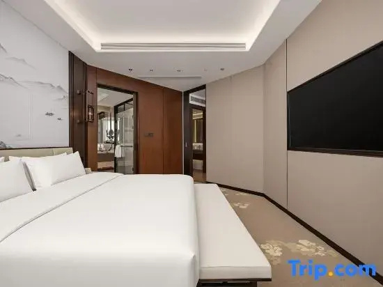 Superior Suite with city view