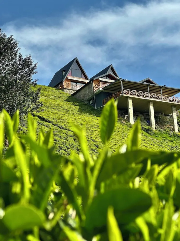 Celazeni̇ Bungalov
