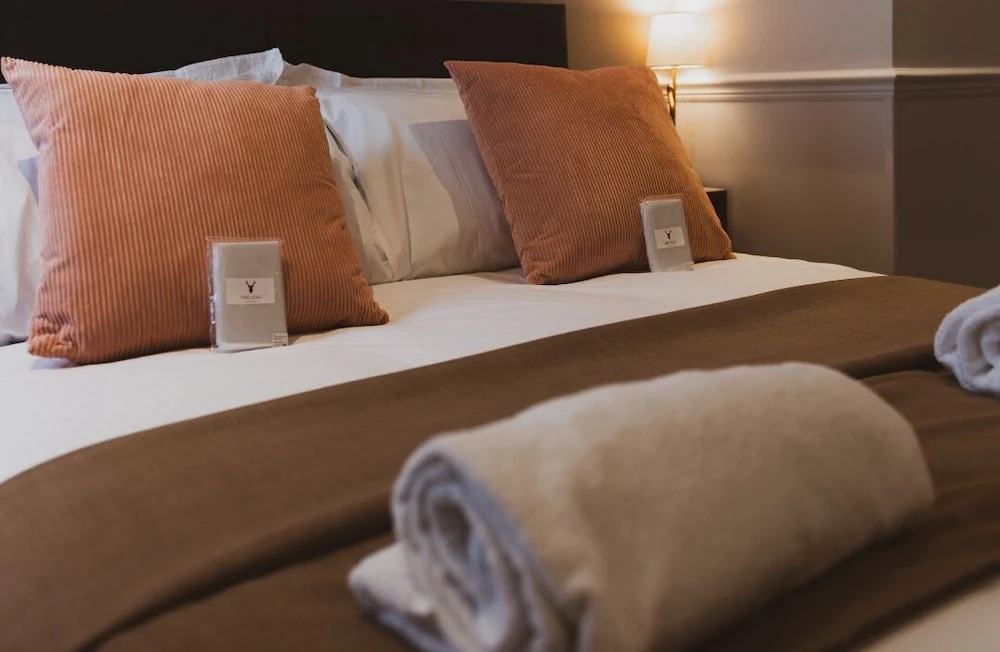 The Stag Hotel - Chambres