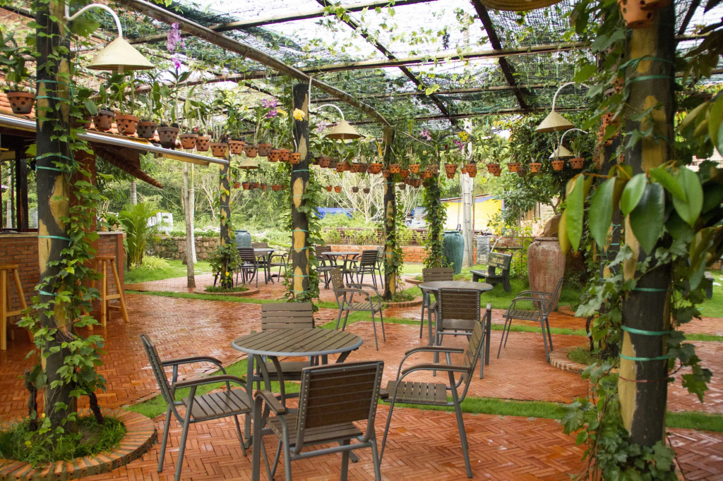 Hotel photo 24