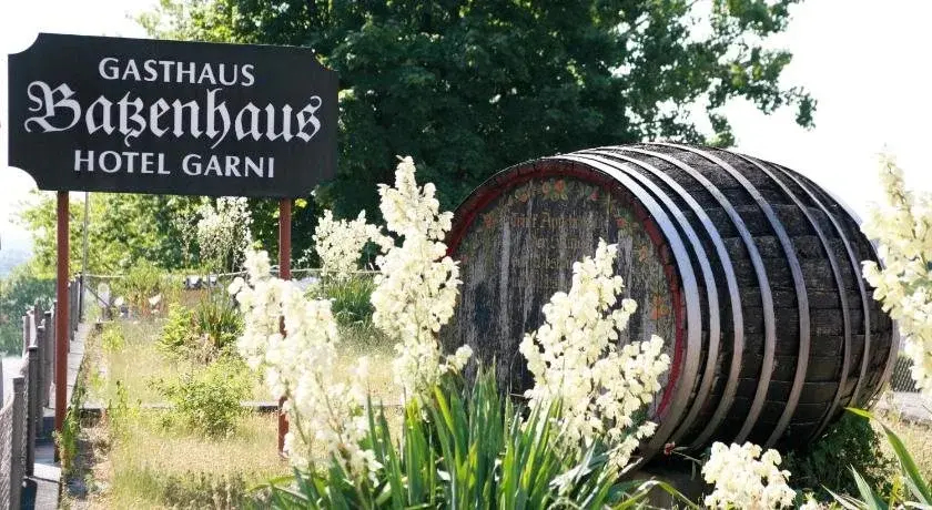 Hotel Batzenhaus