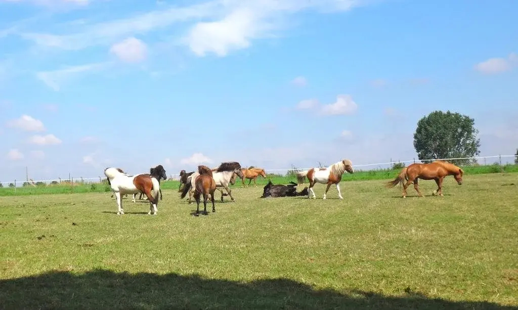 Aan de Jordaan - фото 18