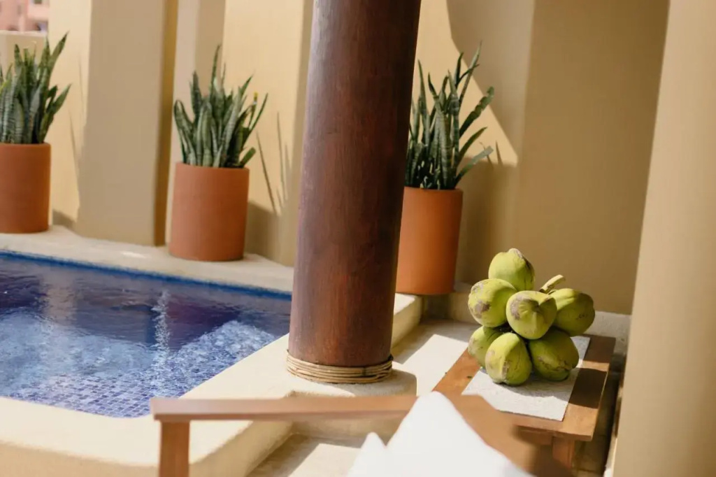Cala de Mar Resort & Spa Ixtapa - Général