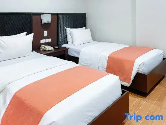 Deluxe Double room (twin beds)