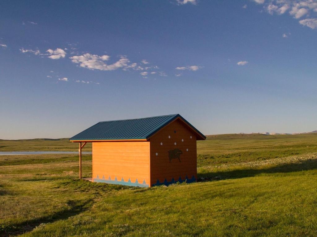 Lodgepole Gallery by null