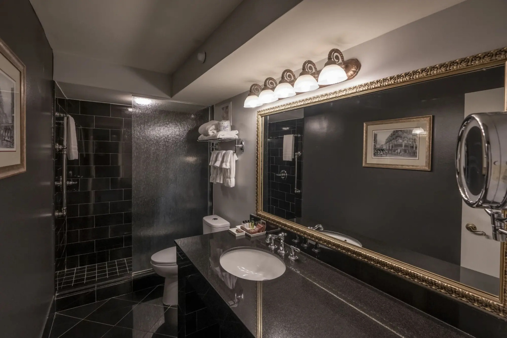 Bourbon Orleans Hotel - Général