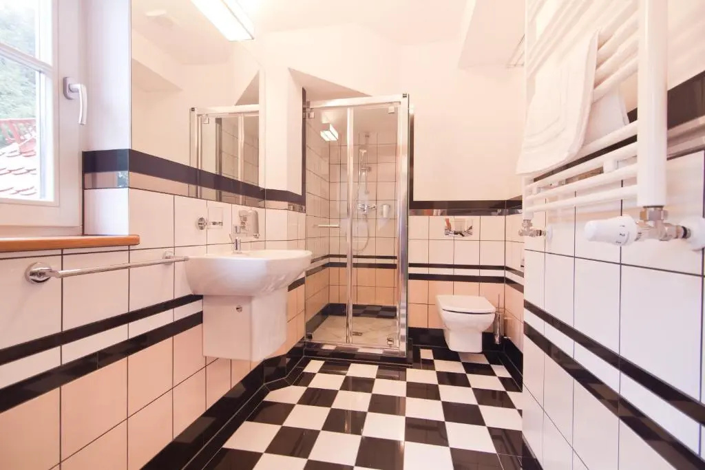 Villa Alina Medical SPA - Chambres