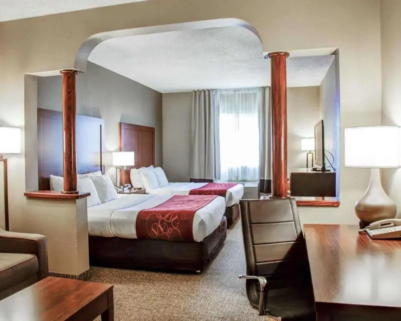 Comfort Suites Lombard - Addison - Chambres