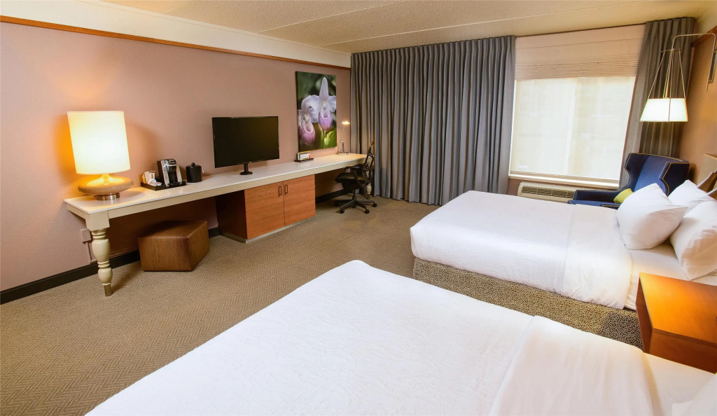 Hilton Garden Inn Rochester Downtown, MN - Chambres